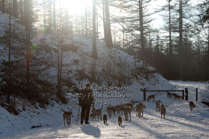 Coniston Hunt Photographs by Betty Fold Gallery